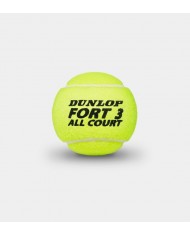 Dunlop Fort All Court (carton 18 boites) Dunlop Fort All Court (carton 18 boites)
