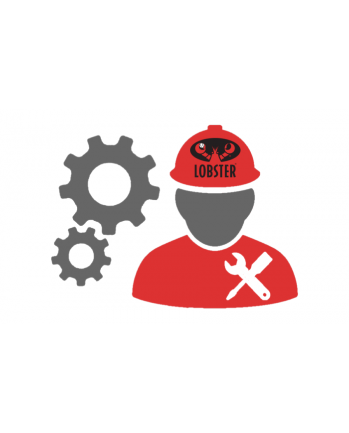 Service révision lobster