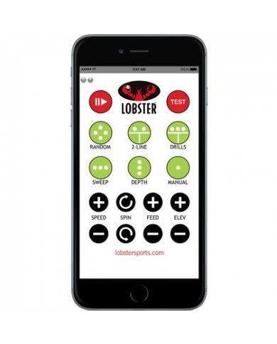 Module Wi-Fi pour Apple.